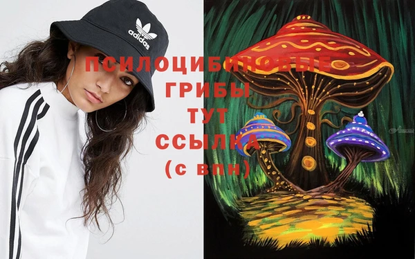 PSILOCYBIN Богданович